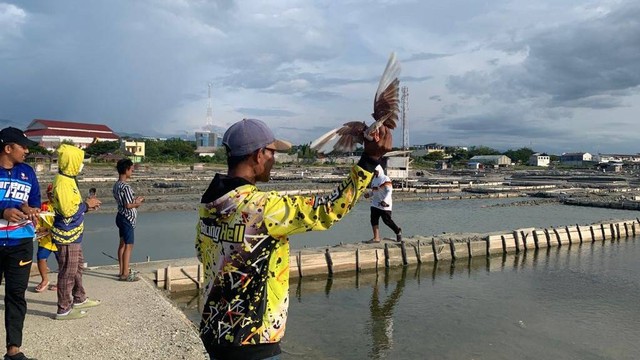 Keseruan Warga Melatih Merpati Balap di Lokasi Eks Tsunami Palu, Kelurahan Talise, Kecamatan Mantikulore, Kota Palu, Sulawesi Tengah, Sabtu (5/11). Foto: Rian/PaluPoso