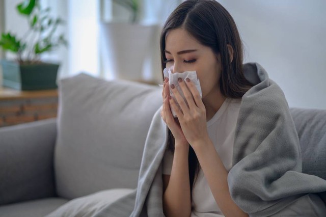 Ilustrasi Gemini terserang flu. Foto: Shutterstock