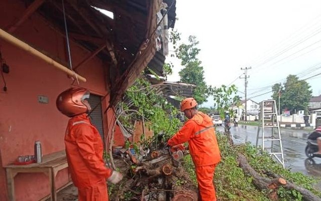 Petugas BPBD Kabupaten Pekalongan meninjau rumah yang rusak akibat hujan disertai angin kencang, Minggu (6/11/2022). (Dok. BPBD Kab. Pekalongan).