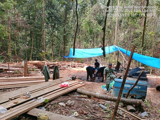 Balai Besar TNKS Resort Lunang Sako dan KPHP saat pembongkaran sarkel sebagai upaya sapu bersih aktifitas illegal logging di Kabupaten Pesisir Selatan, Senin (7/11/2022). Dokumentasi: Balai Besar TNKS Resort Lunang Sako