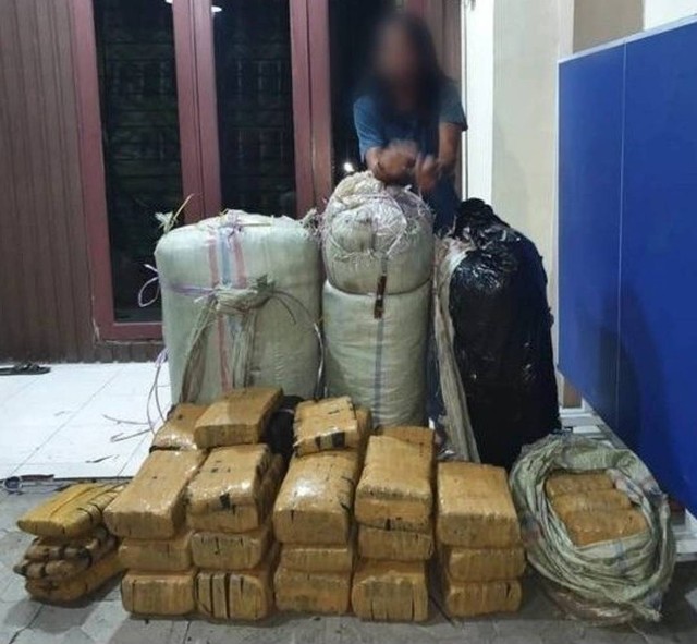 Polisi saat menangkap warga Aceh pembawa 200 kg ganja di Kabupaten Dairi. Foto: Dok. Polda Sumut