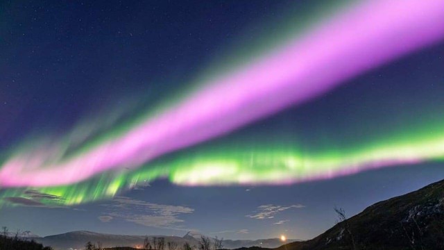 Aurora merah muda di langit Norwegia. Foto: Facebook/Greenlander Tromso