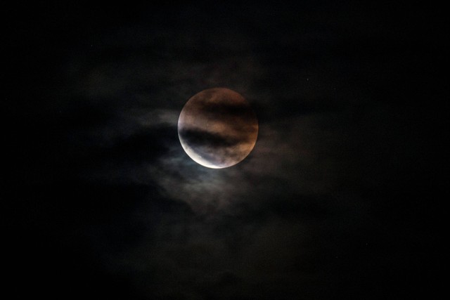 Penampakan gerhana bulan fase total di langit Palangka Raya, Kalimantan Tengah, Selasa (8/11/2022). Foto: Makna Zaezar/ANTARA FOTO