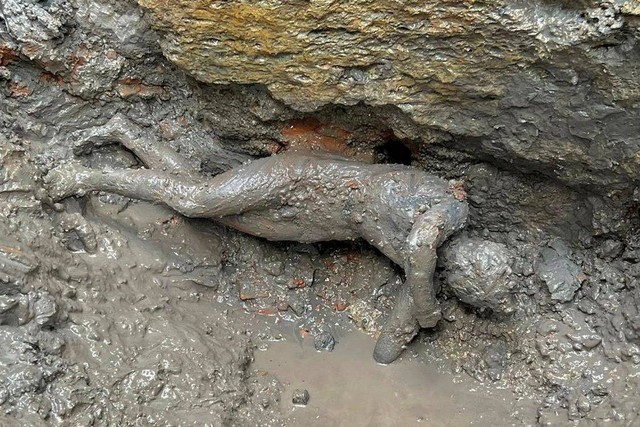 Patung perunggu berusia 2.300 tahun yang baru ditemukan tergeletak di tanah di San Casciano dei Bagni, Italia. Foto: Ministero della Cultura/via REUTERS