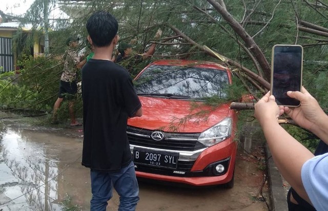 Pohon Cemara Tumbang Timpa Mobil Akibat Hujan Angin di Pamekasan