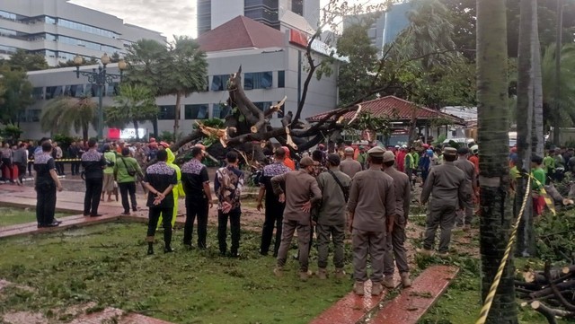 Evakuasi pohon tumbang di Balai Kota Jakarta, Kamis (10/11/2022). Foto: Fadlan/kumparan