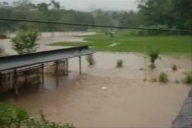 Puluhan hektare sawah terendam banjir di Cianjur, Kamis (10/11/2022). Foto: Dok. Istimewa