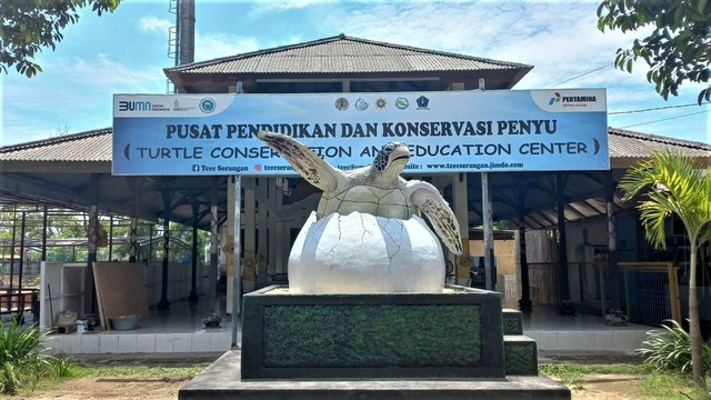 Turtle Conservation And Education Center (TCEC) Pulau Serangan, Denpasar, Bali - IST