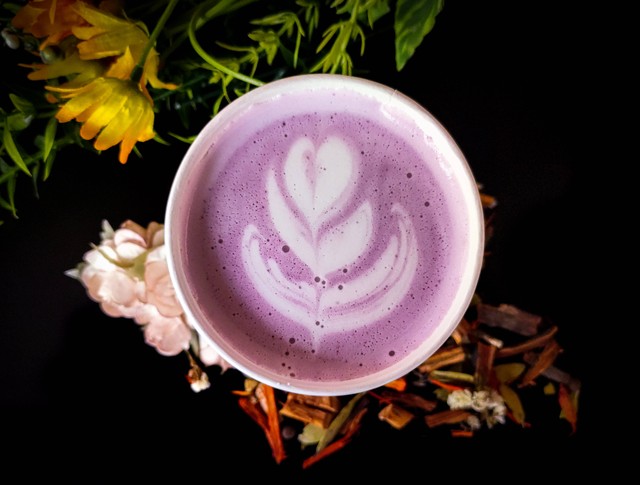 Ilustrasi Manfaat Tanaman Talas bagi Kehidupan Manusia (Foto: Coffeefy Workafe | Unsplash.com)