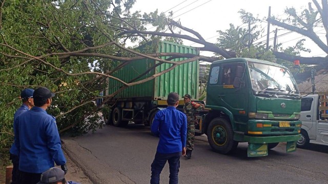 Pohon tumbang timpa truk di Tangerang, Jumat (11/11). Foto: Dok. Istimewa