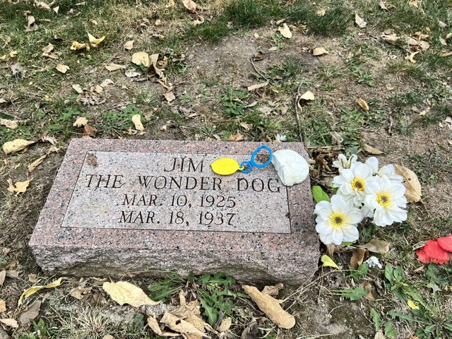                 Makam Jim yang terletak di area Pemakaman Ridge Park. Foto : Dok. Penulis