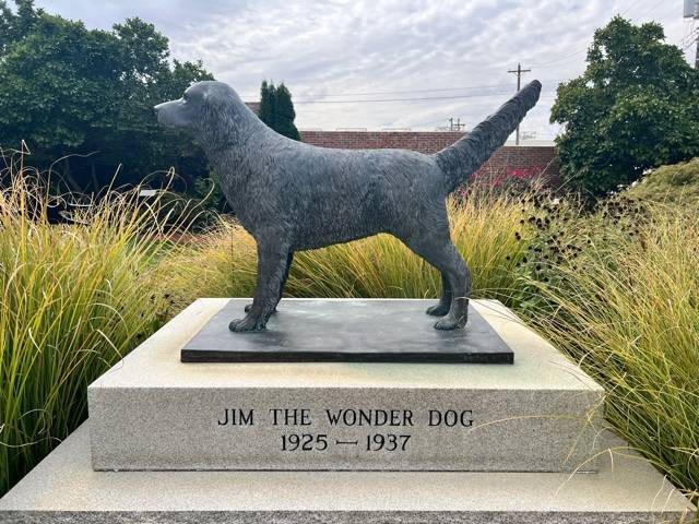 Patung Jim yang terletak di dalam Jim the Wonder Dog Memorial Garden. Foto : Dok. Penulis