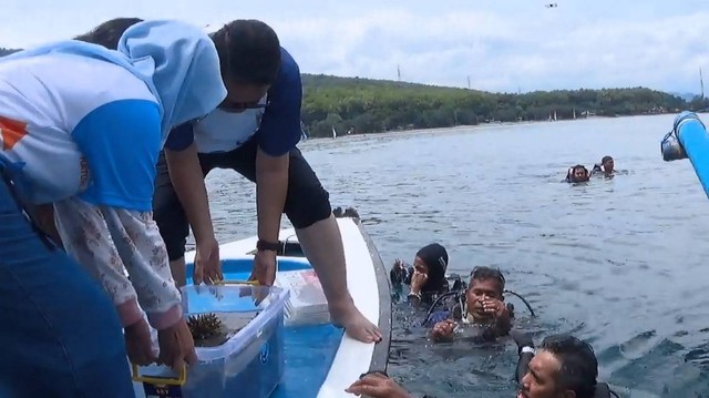 Kerusakan Terumbu Karang di Pesisir Laut Jatim Disebut 60%, Adopsi Digencarkan