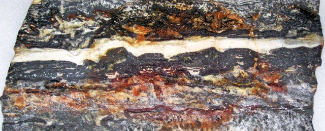 Sampel stromatolit dari formasi Dresser, Australia. Berusia 3,48 miliar tahun, formasi ini berpotensi menjadi bukti kehidupan tertua di bumi Foto: James St. John/Flickr