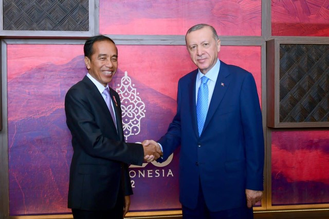 Pertemuan bilateral Presiden Joko Widodo dengan Erdogan di Bali, (14/11/2022). Foto: Dok. Muchlis Jr - Biro Pers Sekretariat Presiden
