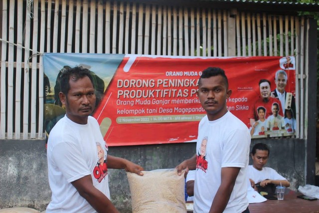 Relawan Orang Muda Ganjar (OMG) Kabupaten Sikka memberikan bantuan benih padi dan alat olahraga warga Desa Magepanda, Kecamatan Magepanda, Kabupaten Sikka, Nusa Tenggara Timur (NTT) pada Senin (14/11/2022). Foto: Dok. Istimewa