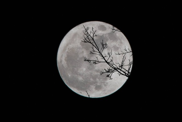 Ilustrasi Gerhana Bulan Gelap atau Terang. (Foto: David Dibert | Unsplash.com)