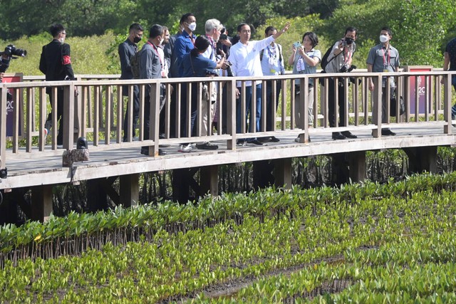 Presiden Joko Widodo (tengah) bersama sejumlah wartawan dalam negeri dan luar negeri mengunjungi tenda penyemaian pohon mangrove dalam rangkaian kegiatan KTT G20 di Taman Hutan Raya (Tahura) Ngurah Rai, Denpasar, Bali, Rabu (16/11/2022). Foto: Galih Pradipta/Antara Foto
