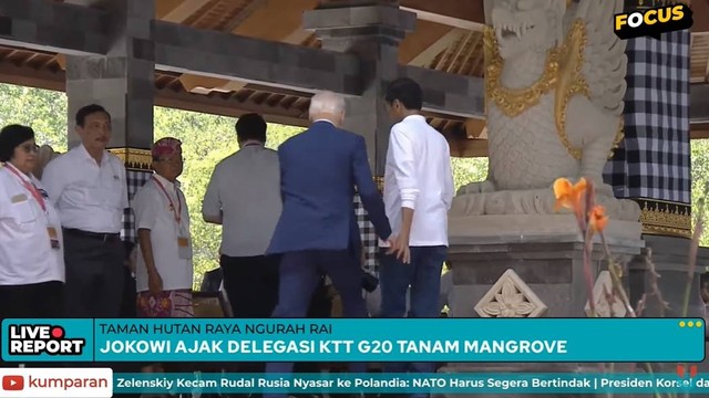 Presiden Joko Widodo menolong Presiden Amerika Serikat Joe Biden yang tersandung di lokasi persemaian dan pembibitan pohon mangrove dalam rangkaian kegiatan KTT G20 di Taman Hutan Raya (Tahura) Ngurah Rai, Denpasar, Bali, Rabu (16/11/2022). Foto: kumparan