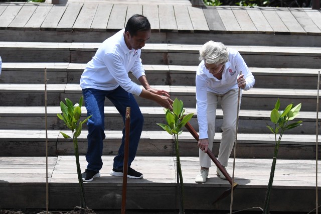 Presiden Joko Widodo (kiri) membantu Presiden Komisi Eropa Ursula von der Leyen untuk melakukan penanaman pohon mangrove di Taman Hutan Raya (Tahura) Ngurah Rai pada hari kedua KTT G20 Indonesia di Denpasar, Bali, Rabu (16/11/2022). Foto: Akbar Nugroho Gumay/Antara Foto