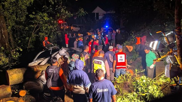 Proses penanganan dan evakuasi pohon tumbang di Jalur Cangar, Kamis (17/11/2022) malam. 1 orang tewas dalam kejadian ini. Foto/Welirang Rescue