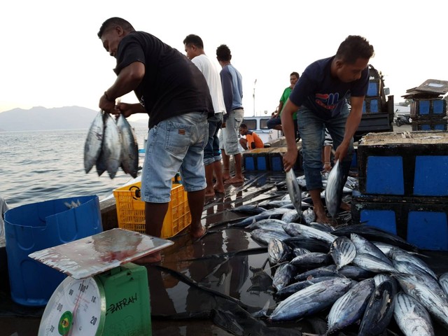 Kegiatan pembongkaran hasil tangkapan di pelabuhan (dokumentasi pribadi)