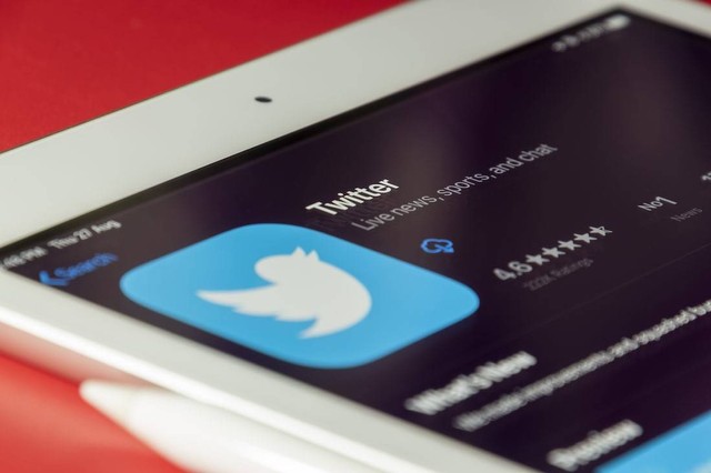 Cara Mengubah Tema Twitter Menjadi Hitam            Foto:Unsplash