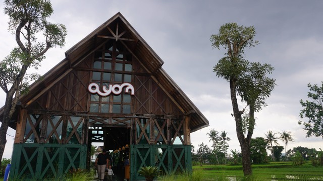 Berada di tengah sawah, inilah tampak depan Ayom Jogja (Sabtu (19/11/2022)) Sumber : dokumen pribadi