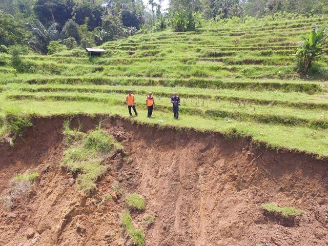 Tim BPBD Kuningan saat meninjau langsung lokasi terjadinya musibah longsor di Kabupaten Kuningan, Jawa Barat. (Foto: BPBD Kuningan)