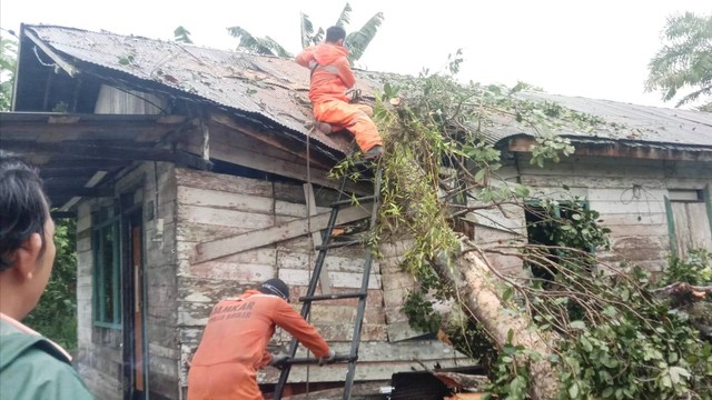 Petugas BPBD, relawan dan Damkar melakukan evakuasi pohon tumbang yang mengenai rumah Siswanto di Jalan Kawitan 2 Pangkalan Bun, Senin (21/11). Foto: BPBD/InfoPBUN
