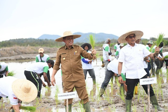 Ketum HKTI, Moeldoko (kanan) bersama Gubernur Kepri, Ansar Ahmad, melakukan penanaman di lahan baru. Foto: Istimewa