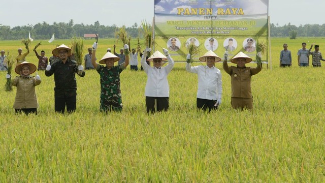 Wamentan Harvick Hasnul Qolbi (depan ketiga dari kanan) melakukan panen raya padi bersama petani Aceh Barat Daya (Abdya). Foto: Humas Setda Aceh