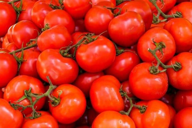 Ilustrasi tomat. Foto: Pexels