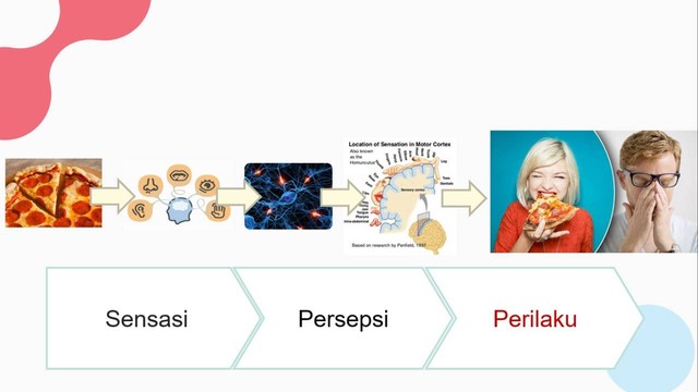 Makan merupakan salah satu faktor yang dapat mengaktifkan dopamine. Foto: Dokumen Pribadi