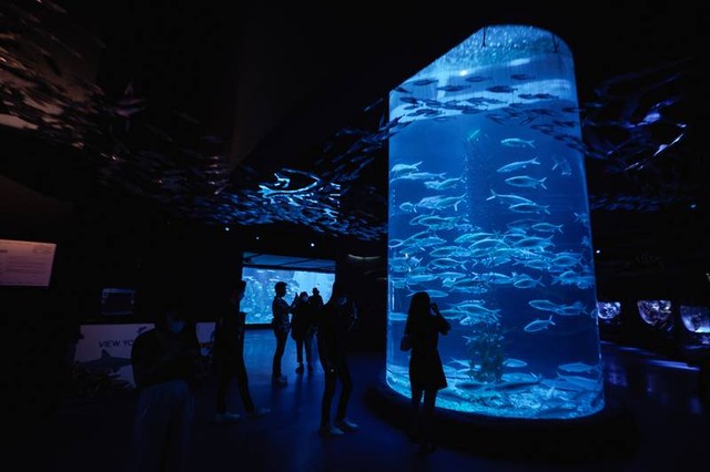 Jakarta Aquarium. Foto: Wirestock Creators/Shutterstock