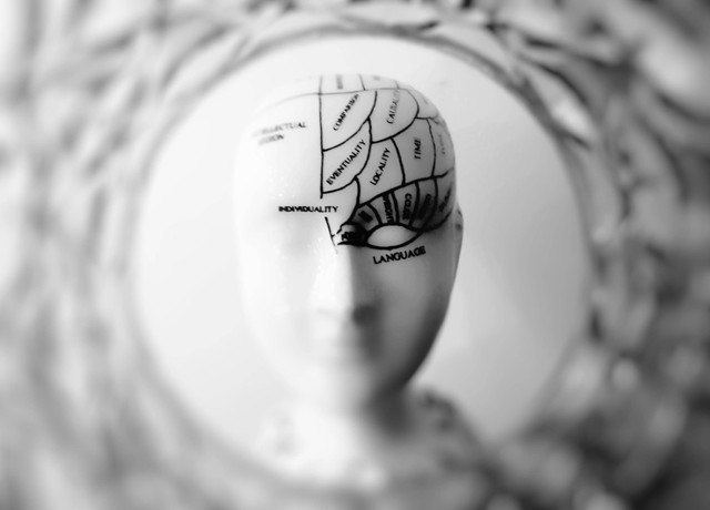 https://images.pexels.com/photos/724994/pexels-photo-724994.jpeg?auto=compress&cs=tinysrgb&w=1260&h=750&dpr=2 diagram frenologi