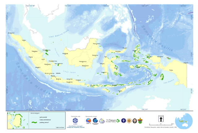 Gambar 1. Luasan padang lamun Indonesia yang baru sekitar 16-35% tervalidasi pada tahun 2018 (Sumber: Status Ekosistem Lamun di Indonesia tahun 2021, Pusat Riset Oseanografi-BRIN)