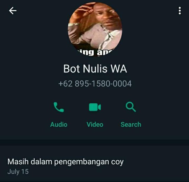 Tampilan profil bot nulis WA. Foto: Tangkapan layar WhatsApp