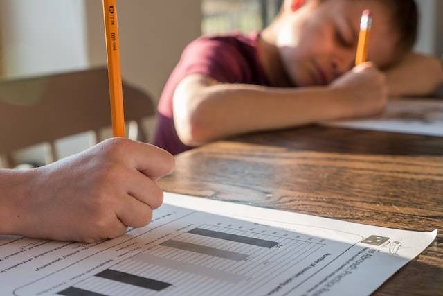Ilustrasi Kunci Jawaban Matematika Kelas 8 Halaman 245, Foto Unsplash Jessica Lewis