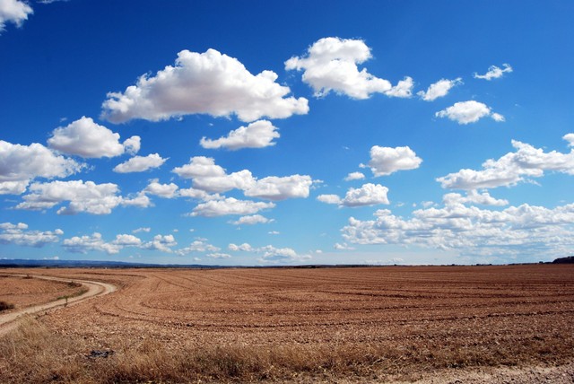 Ilustrasi Caption Instagram tentang Langit Biru, Pexels/Pixabay 