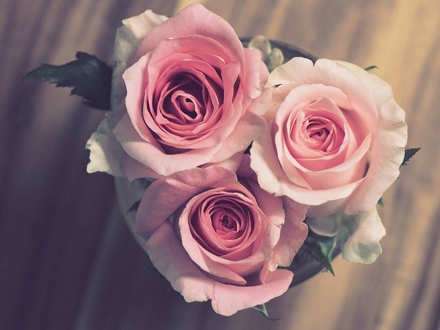 Kata-Kata Anniversary Singkat Bahasa Inggris, Foto Pixabay/JessBaileyDesign