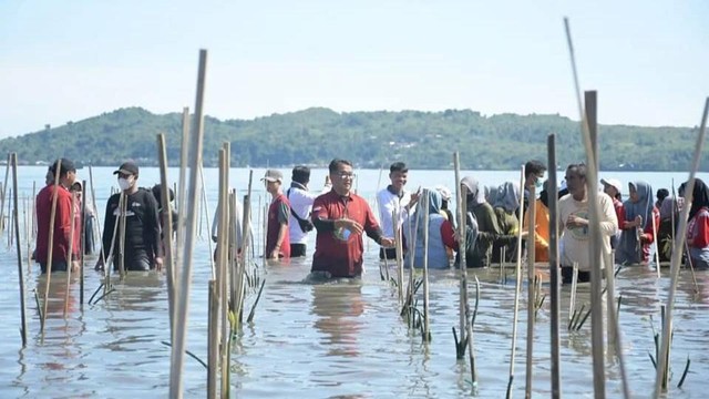 Penjabat Gubernur Sulawesi Barat Akmal Malik pada penanaman mangrove di Pantai Landi, Mamuju. Foto: Dokumentasi Humas Pemprov Sulbar