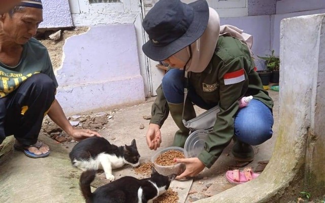 Relawan khusus hewan, Titik asal Kota Tegal memberikan makanan kepada kucing-kucing yang juga terdampak gempa di Cianjur, Jawa Barat (Foto : Bentar/PanturaPost.com)