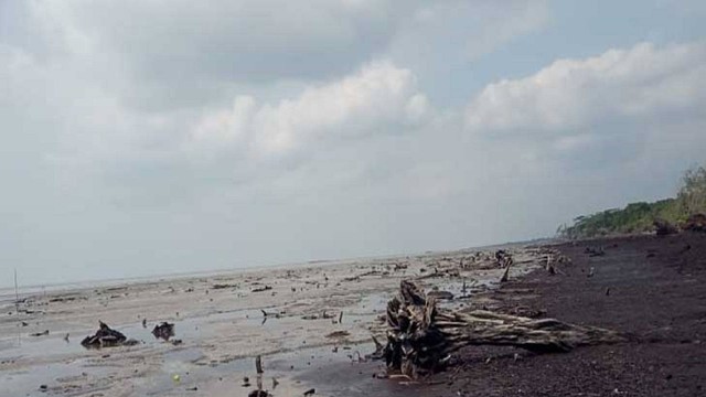 Kondisi pantai di sisi timur Pulau Bengkalis, Kabupaten Bengkalis, Riau, akibat abrasi hempasan ombak Selat Malaka. (ANDRIAS/SELASAR RIAU)