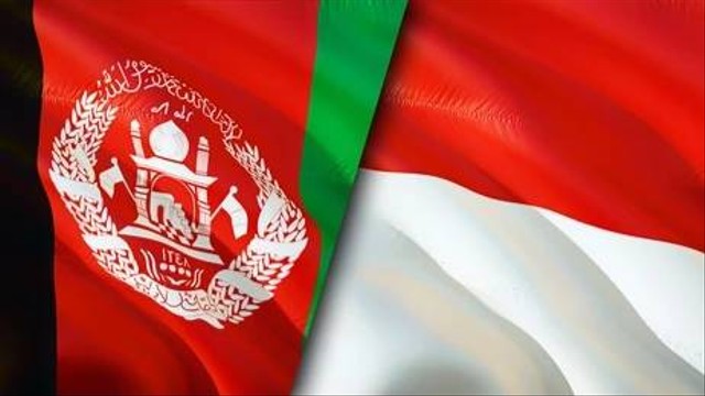 Bendera Afghanistan dan Indonesia (shutterstock.com)