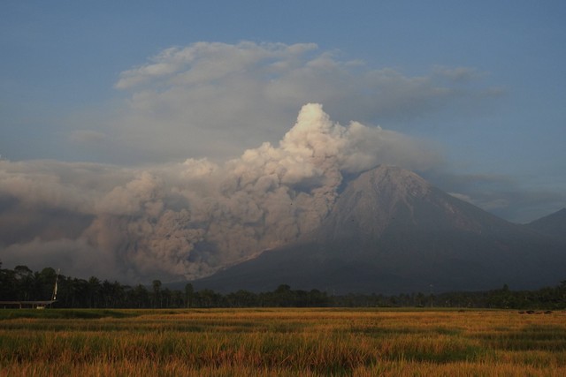 Luncuran Awan Panas Guguran (APG) Gunung Semeru terlihat dari Desa Sumberwuluh, Candipuro, Lumajang, Jawa Timur, Minggu (4/12/2022). Foto: Iwan/ANTARA FOTO