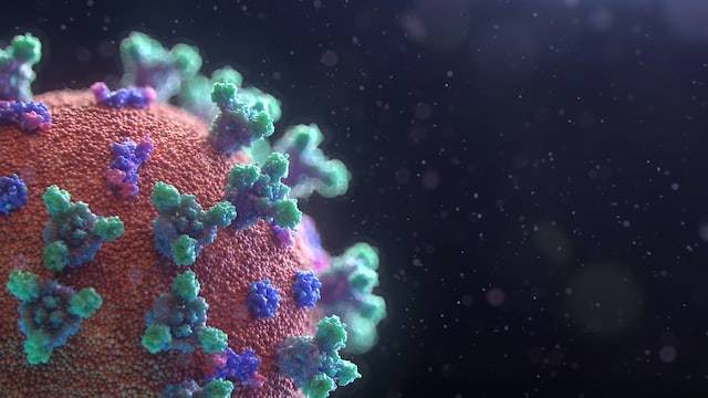 Ilustrasi alasan mengapa virus RNA mudah bermutasi, sumber foto Fusion Medical Animation on Unsplash