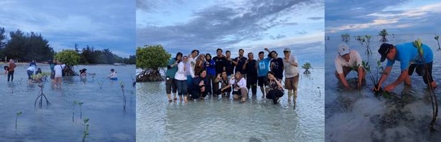 Bukan Sekedar Field Trip, Prof Jonson Ajak Mahasiswa Tanam Mangrove di Pulau Pari