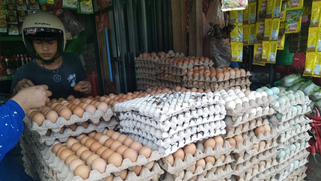 Telur mengalami kenaikan harga menjelang natal dan tahun baru. Foto: Awal Dion/SulbarKini