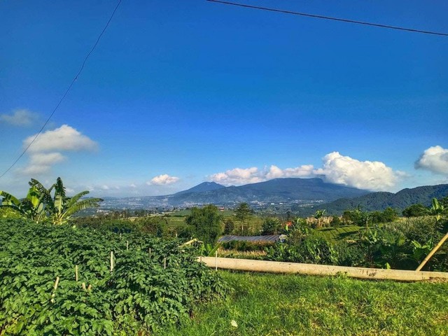 Desa Suntenjaya berlatarkan pemandangan alam Gunung Tangkubanparahu https://www.instagram.com/desasuntenjaya